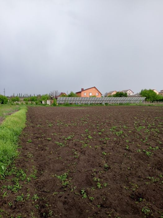 Продам земельна ділянка новопетрівка (соколівське)