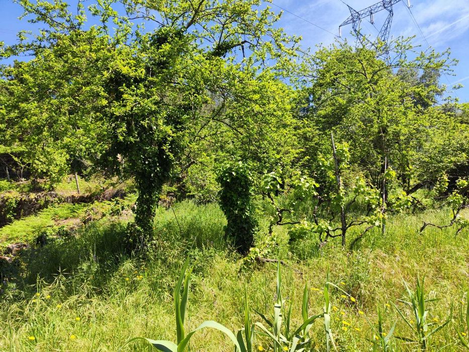 vende-se imóvel/terreno