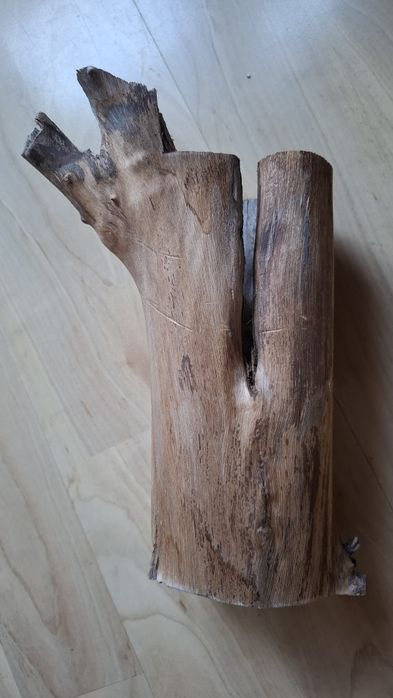 Wyposażenie terrarium, konar, drapak