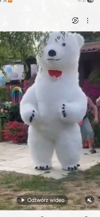 Miś, duży  mis na imprezy