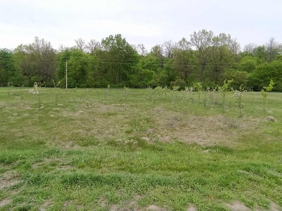 Продаж Земельної ділянки с. Перлявка