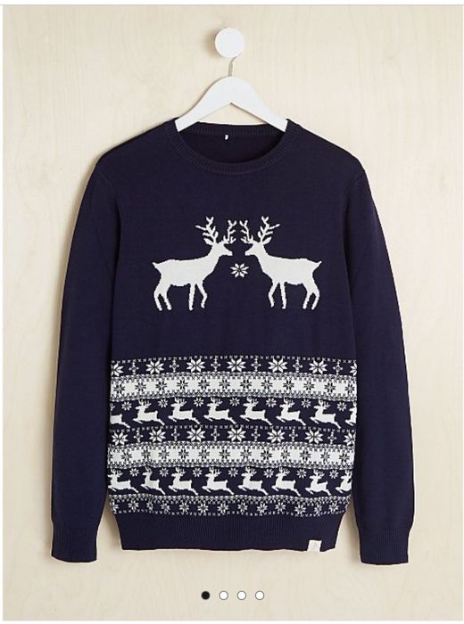 Фемели лук новогодний, новорічний