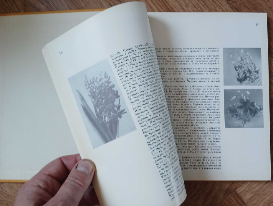 Книга-альбом "Цветы", Киев 1972 г.