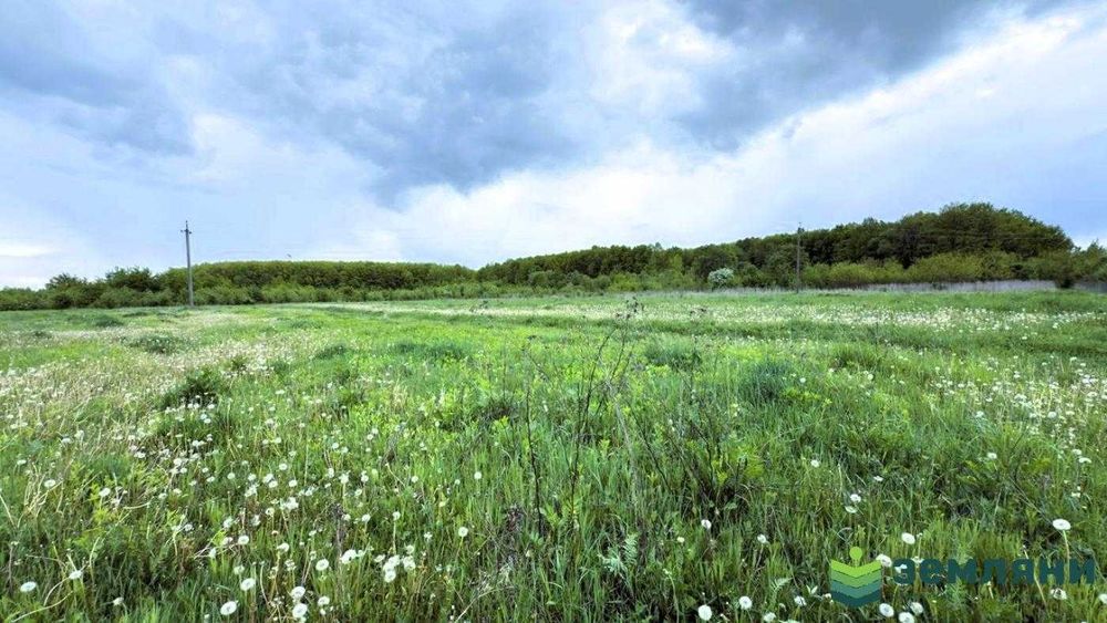 Продається ділянка 23 сот в с. Березівка (7)