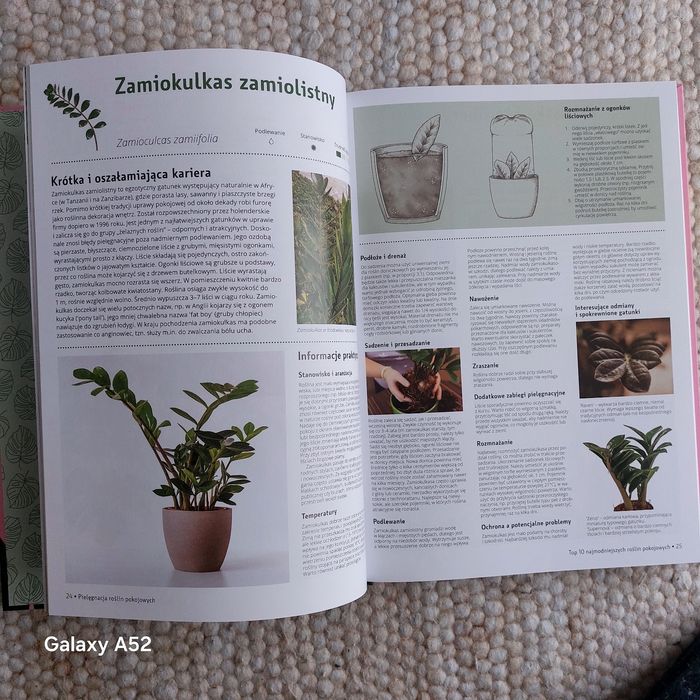 Pielęgnacja  roślin pokojowych.