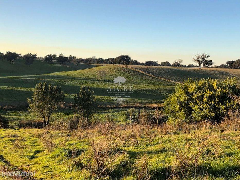 Monte Alentejano com Projeto de Turismo Rural Aprovado – Santiago do C