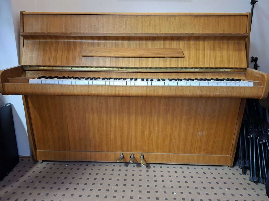 Pianino Calisia, Bydgoszcz