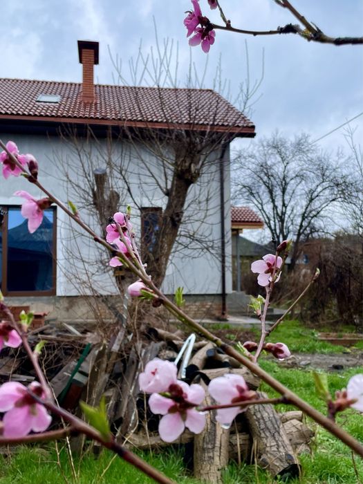 Будинок  біля ріки . Гданцівка