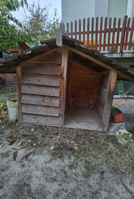 Buda dla psa bardzo duża