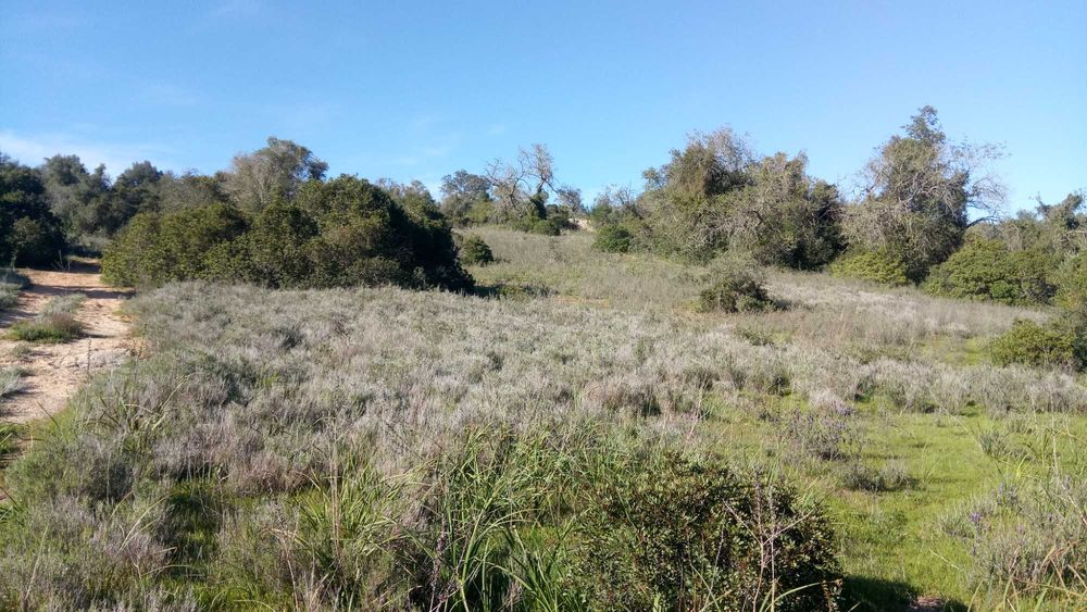 Terreno 4,6 Hect, ruína 120m2, Aldeia dos Matos, Paderne, Albufeira