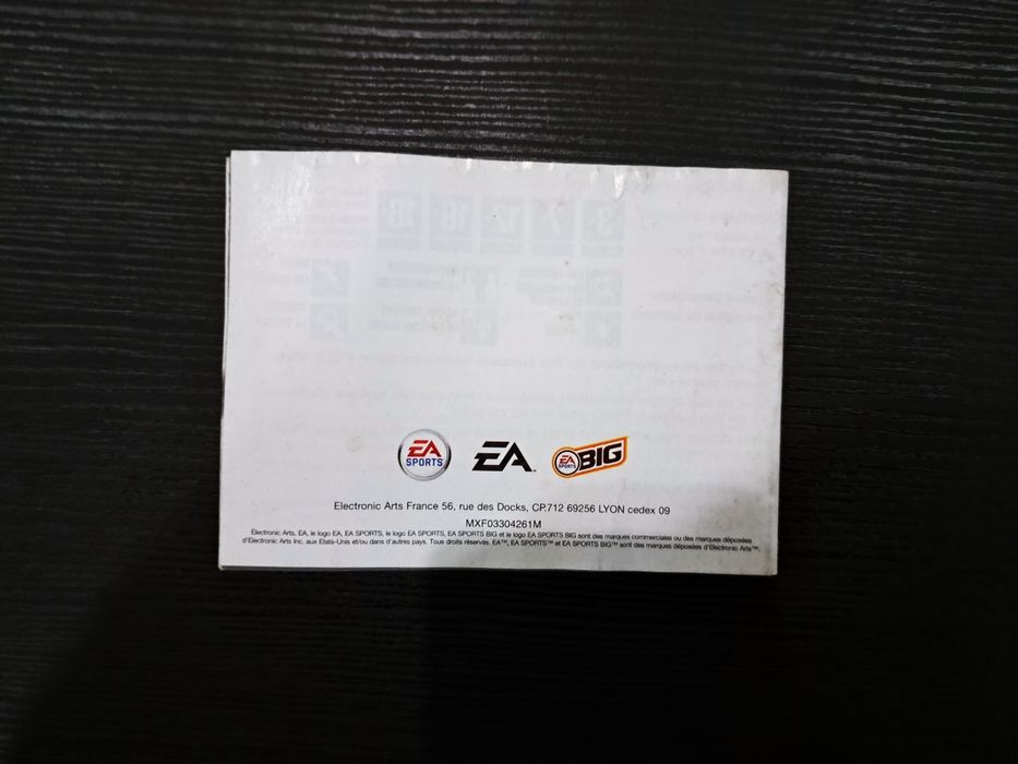 Manual para Gameboy Advance - The Sims 2