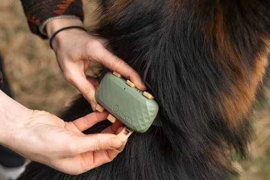 Vendo tractive dog XL usado