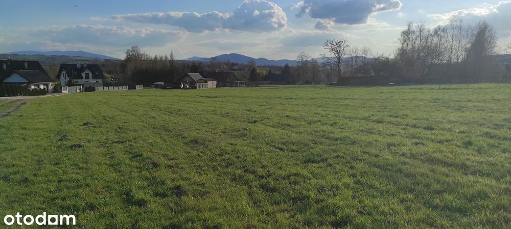 Działka widokowa, budowlano/usługowa 33ar w pobliżu gór i lasu - Widok 2