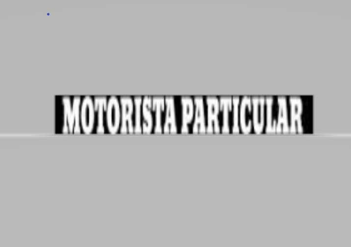 Motorista Particular.