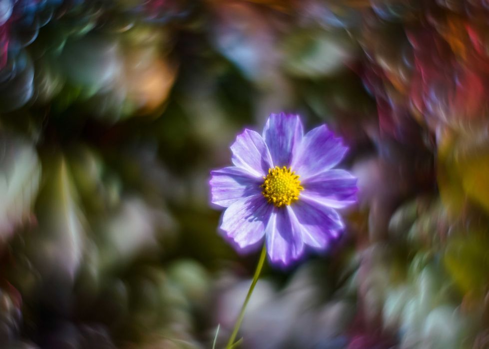 Helios- 44-M-4- Petzval