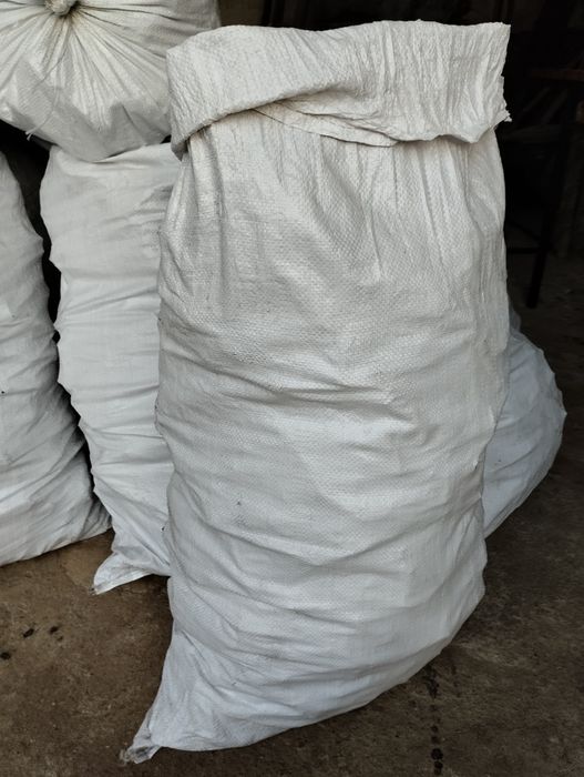 Kora                         .