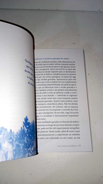 Mindfulness para o Alívio da Dor