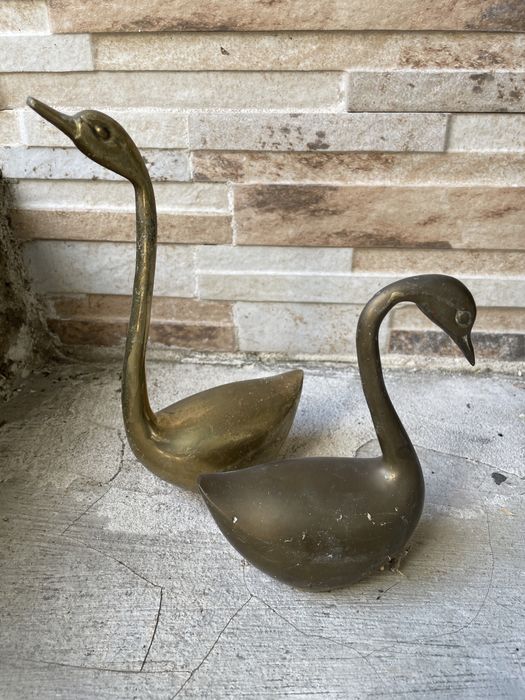 Cisnes - Bule - sino antigo