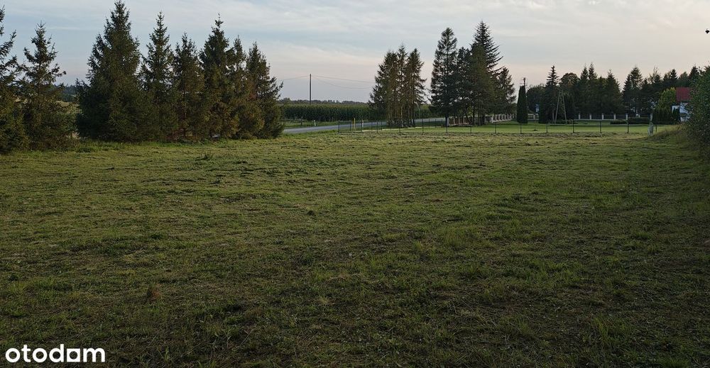 Działka Budowlana uzbrojona MPZP ze ścianą lasu - Widok 2