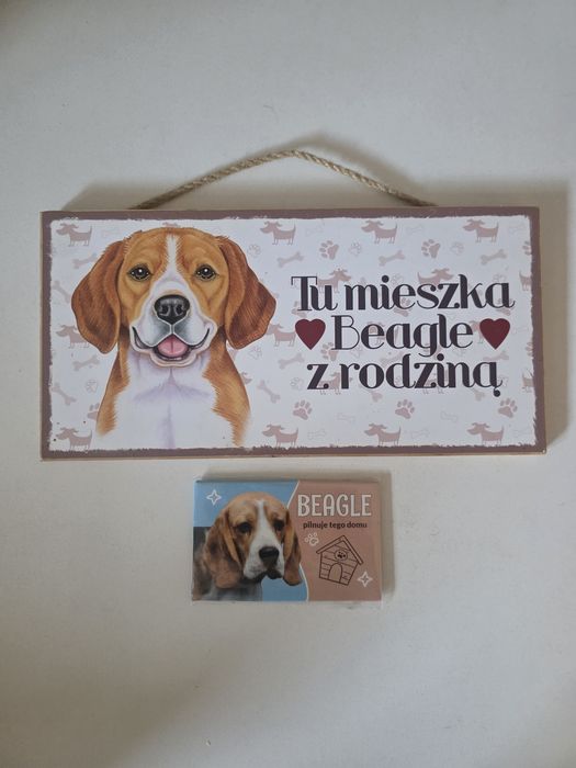 Tabliczka + magnes beagle