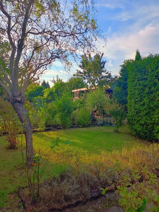 Prawo do użytkowania działki ROD LAS Warszawa Białołęka