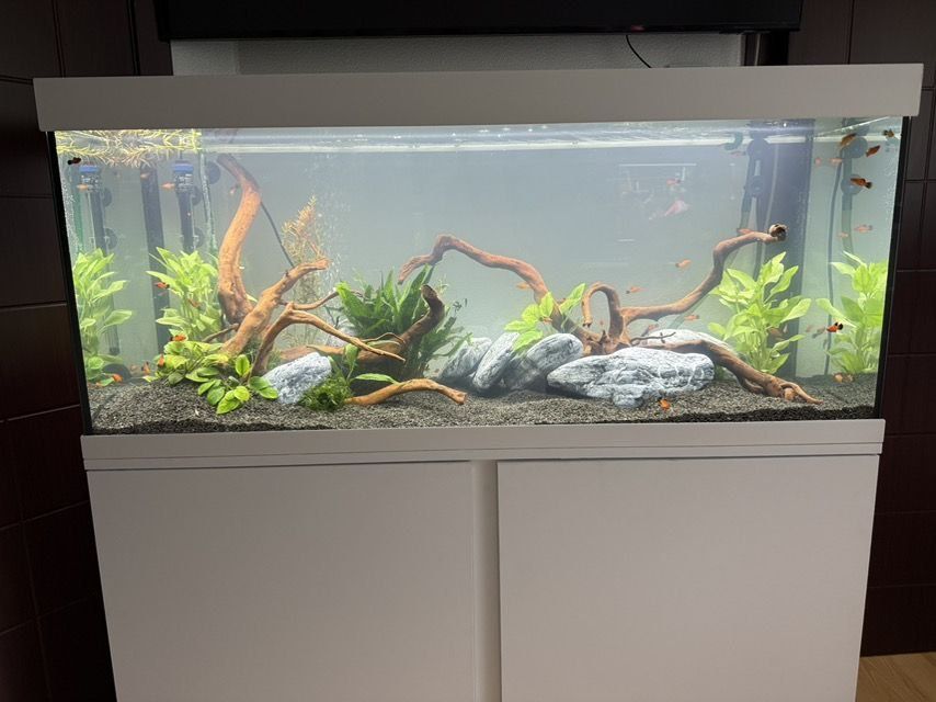 Обслуживание морских и пресных аквариумов,чистка аквариумов