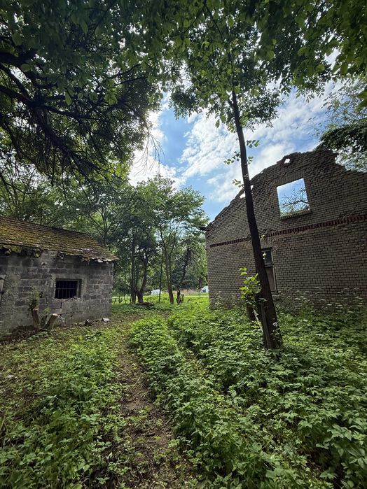 Zdjęcie 8