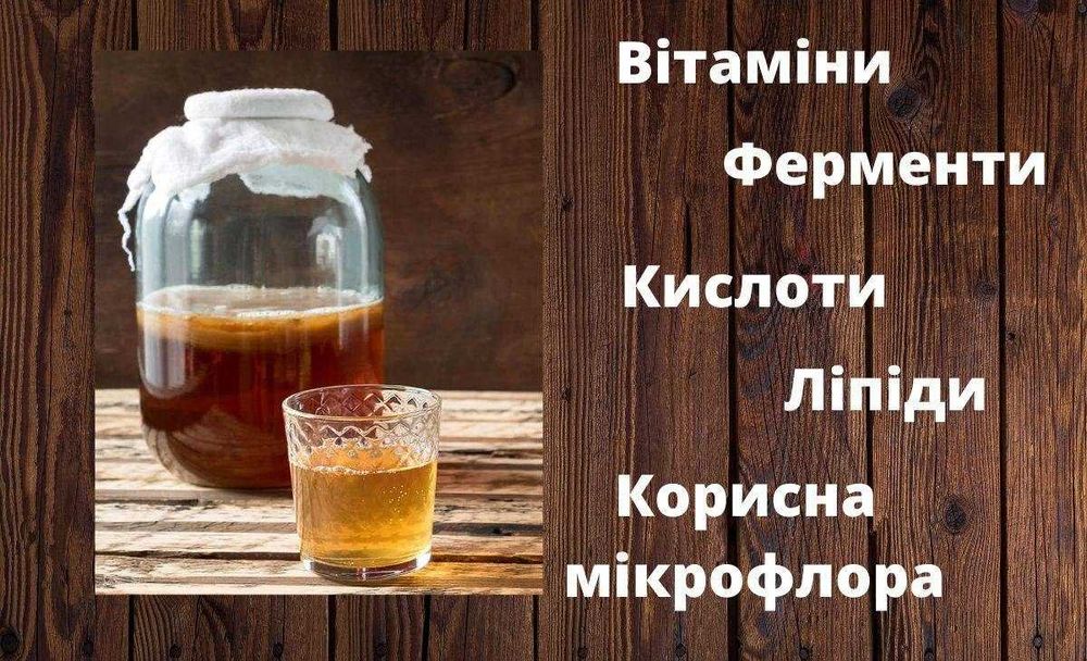 чайный гриб или  Комбуча