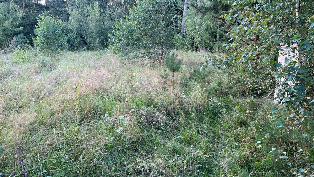 Sprzedam działkę budowlaną w miejscowości Kosewo - Widok 4