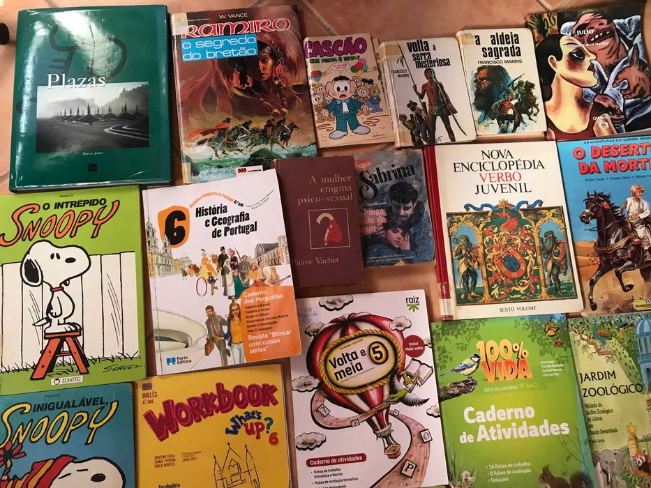 vendo o lote de livros da fotografia