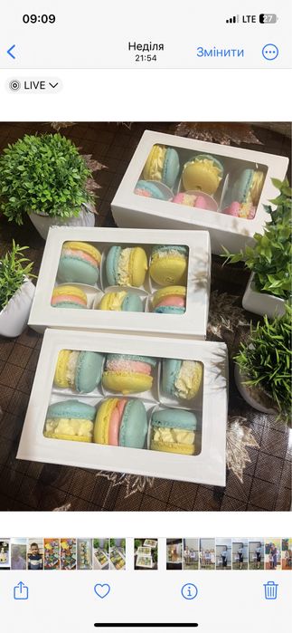 Макаронси на замовлення від 15 шт