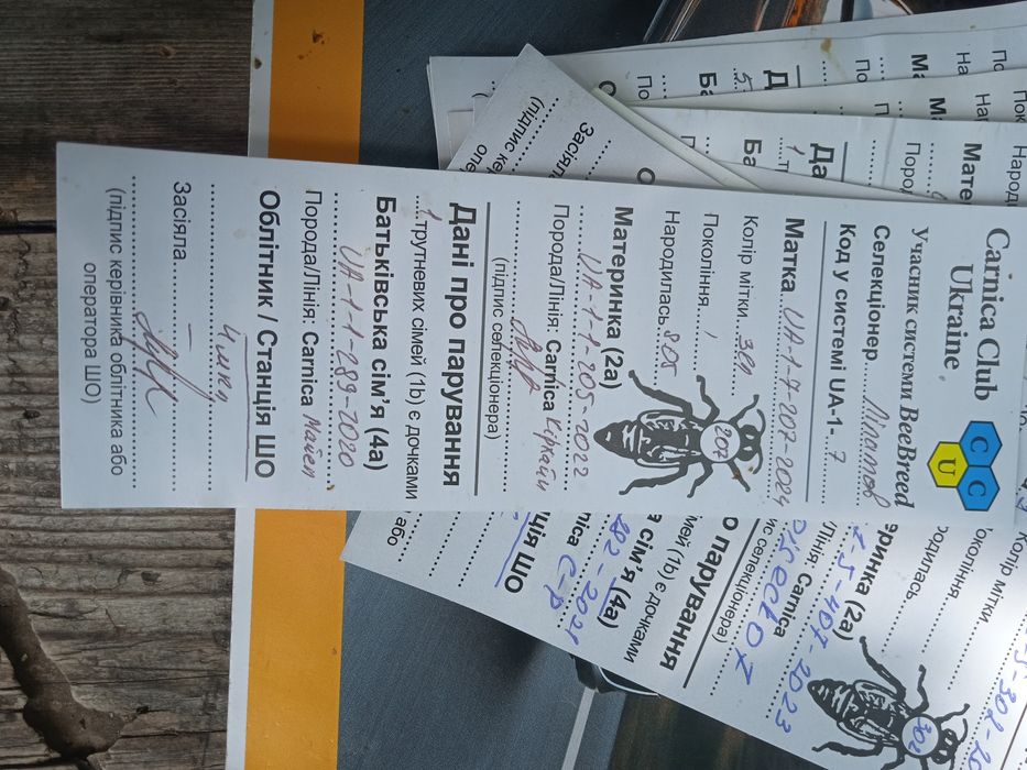 Плідні та неплідні матки Карніка Ф1 Зінгер, Тройзек,Пернер і Скленар