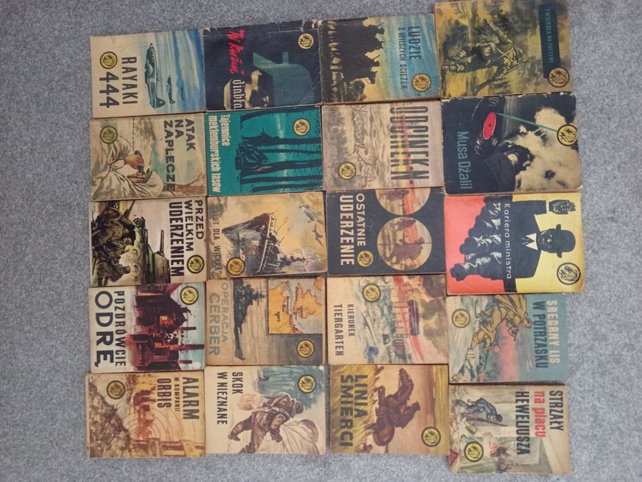 Zestaw książek żółty tygrys