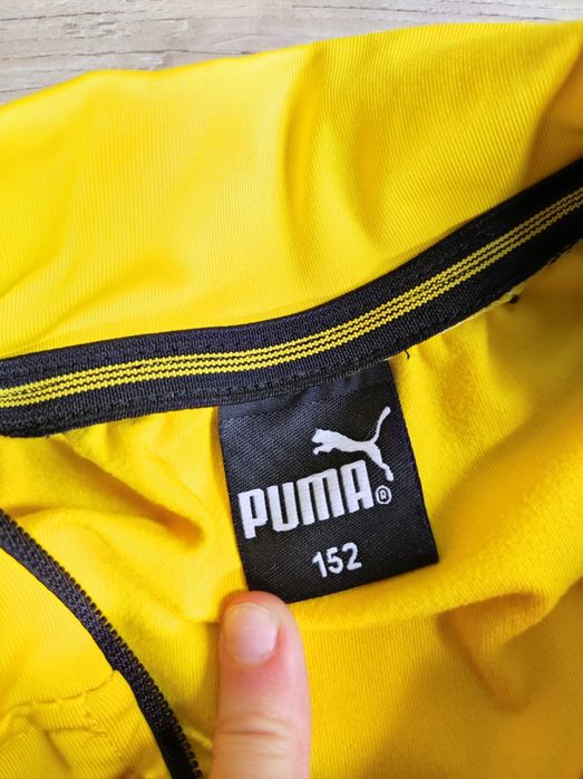 Bluza Borussia Dortmund