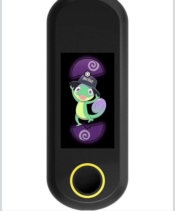 Brook Pocket Auto Catch Carry gra pokemon