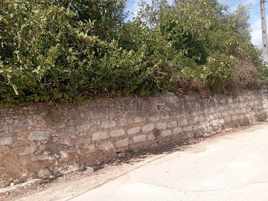 Casa de campo em ruína com terreno