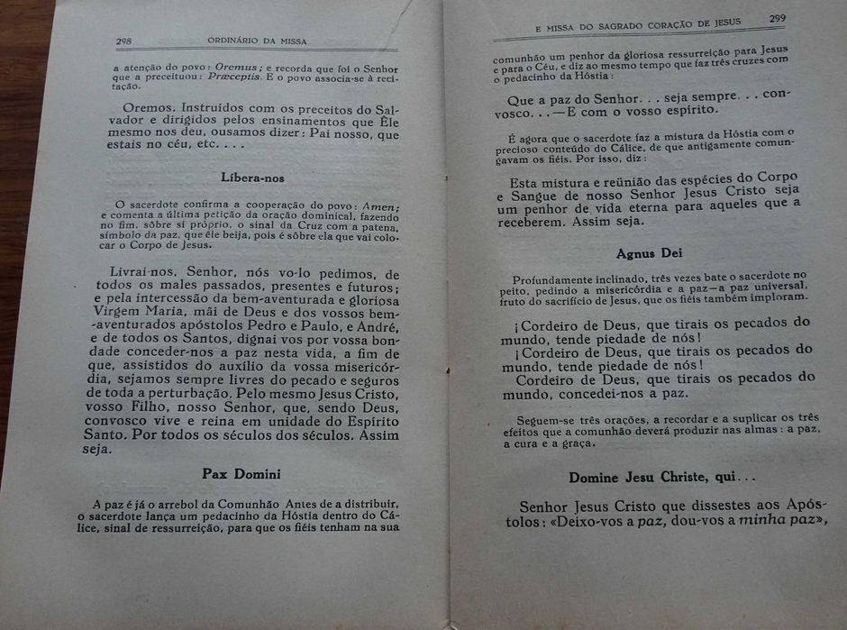 O Divino Amigo (Pensamentos de Retiro)