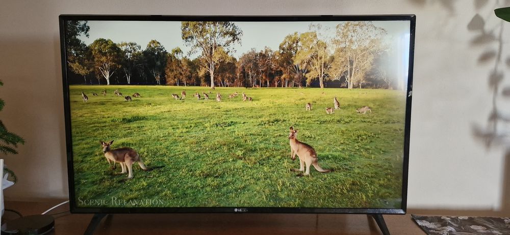 Telewizor LG 43 cale