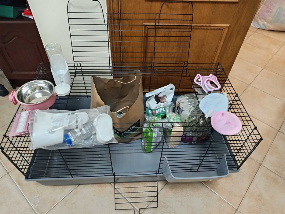 Jaula para coelhos anões