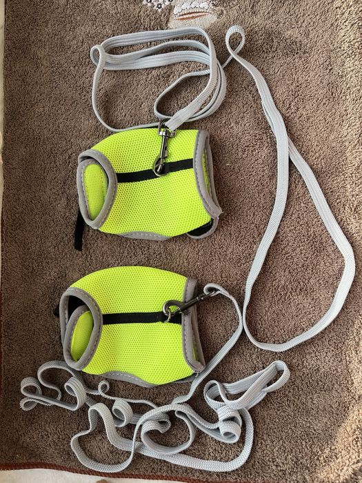 Одяг для котиків та собачок