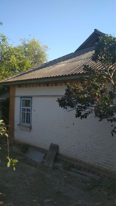 Продається будинок з великою ділянкою в мальовничому селі Чернігівщини