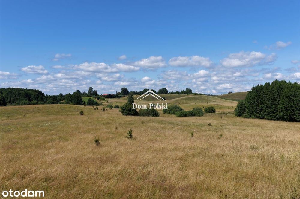 Malowniczy grunt rolny na Mazurach - 4,58 ha - Więcej