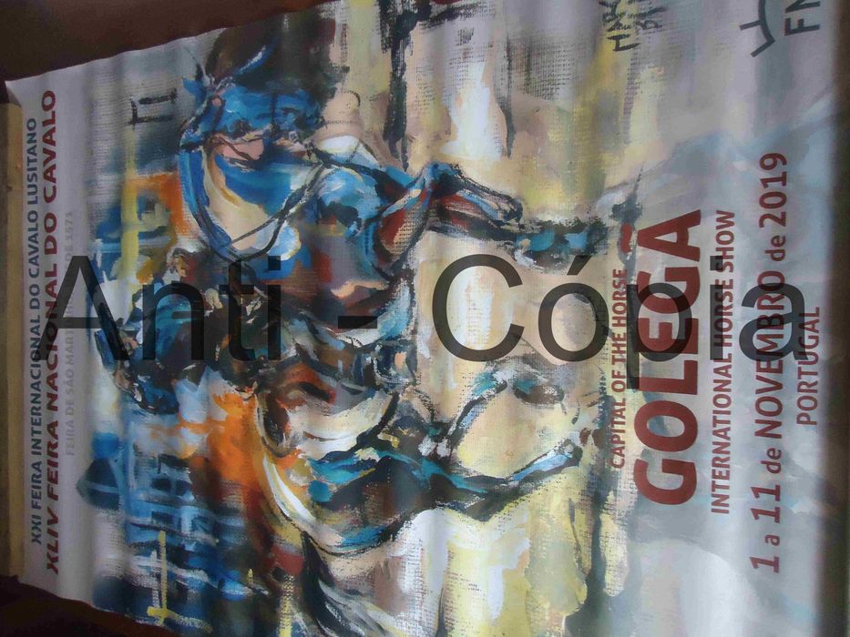 Cartazes de S. Martinho