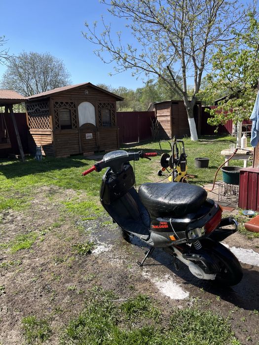 Piaggio zip скутер ( не bws, aerox, slider)