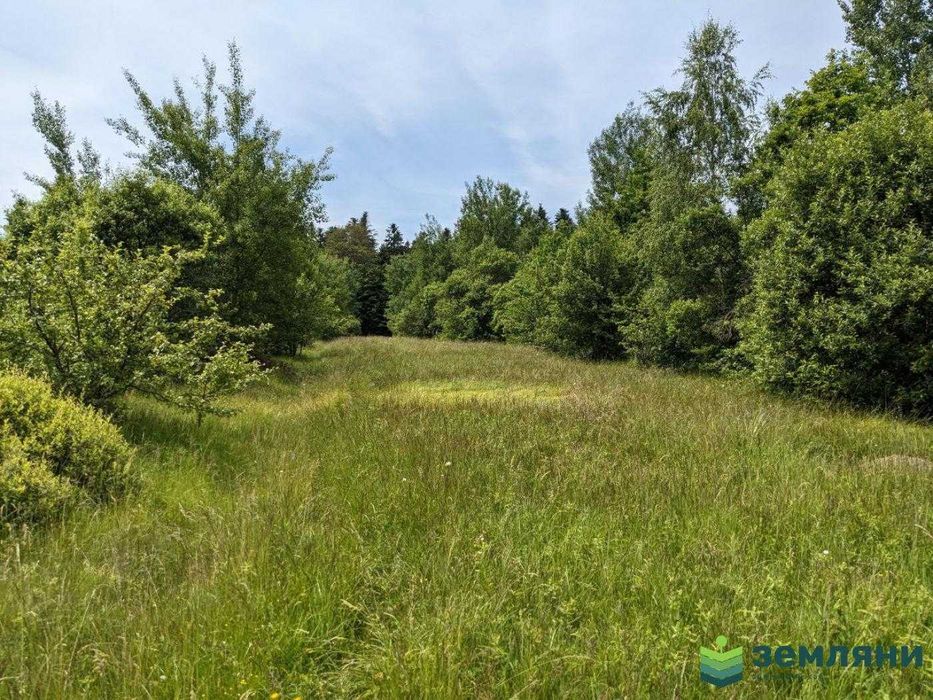 Продаж ділянки з виходом у ліс в с. Нова Гута (8)