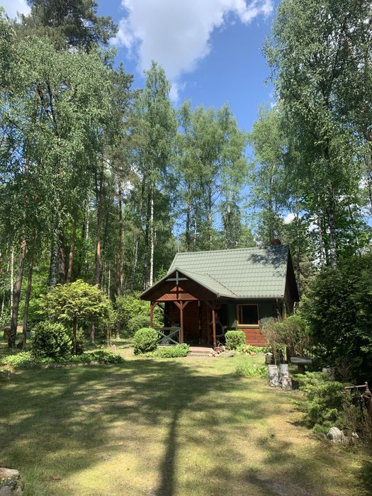 Magiczna Działka Blisko Plaży Nad Liwcem – 50 Min Od Warszawy | 1100m2 z Pięknym Domkiem - 5 min do PKP i rzeki Liwiec | Kaliska - Gmina Łochów