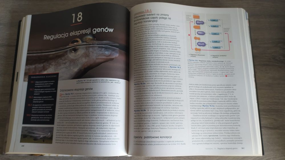 Biologia Campbella, druga edycja polska