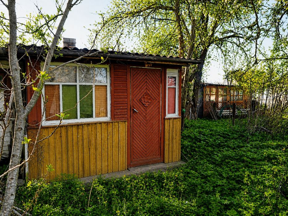 • Продам дачу , поруч ліс!