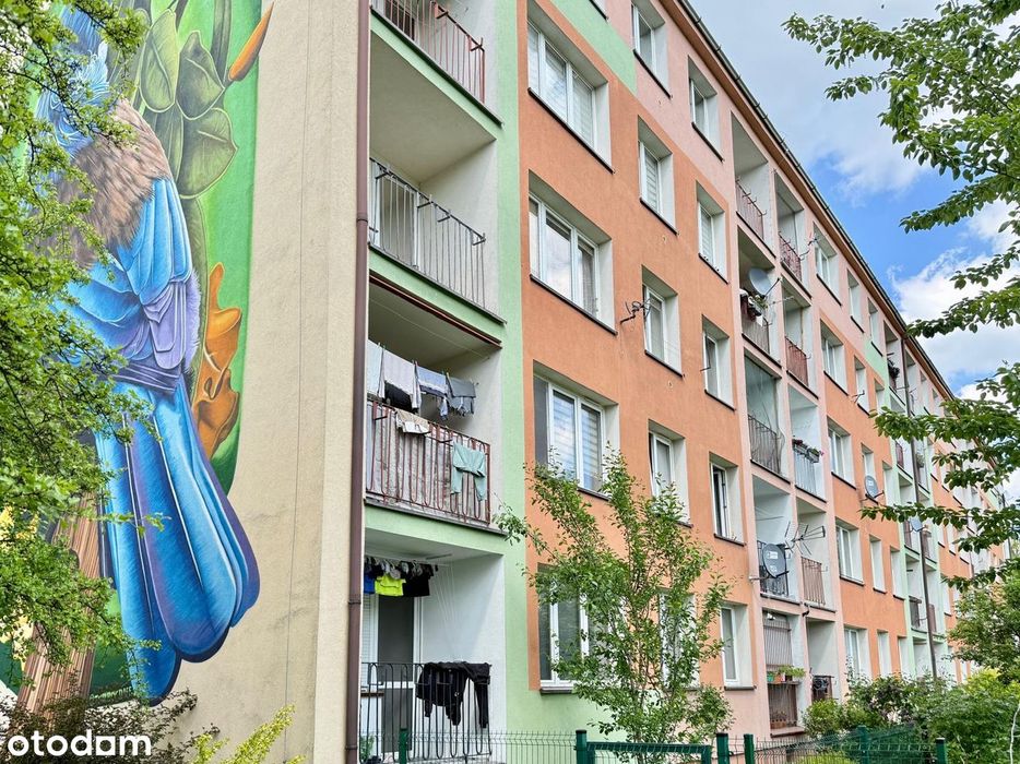 Kawalerka z wnęką 25m2, 1-pokojowe, 2 pietro, widok, NISKI czynsz !