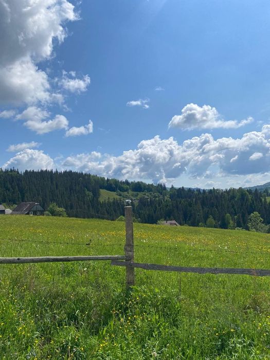 Продається земельна ділянка в Карпатах в с.Яворів - View 5